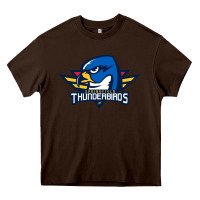 Chocolate Brown springfield thunderbirds Heavy Core Tee - ArtMosaic