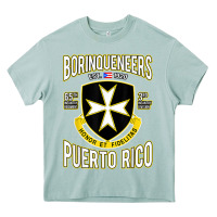 Arona Borinqueneers Puerto Rico Flag Honor Et Fidelitas Heavy Core Tee - ArtMosaic