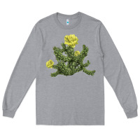 Heather Grey whipple cholla cactus Long Sleeve Tee - LillyAllenDesigns