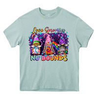 Arona love gnomies no brounds pride Heavy Core Tee - FaDigitalArtStudio