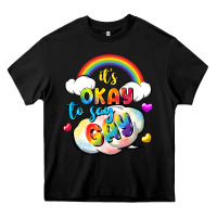 Its Okay To Say Gay Pride Heavy Core Tee | Teevron