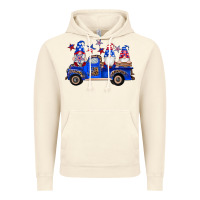 Vintage Artic american flag gnomes truck Vintage Hoodie - Artiststas