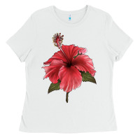 White Puerto Rican Hibiscus Flower Illustrations Ladies Tee - LillyAllenDesigns