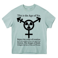 Arona this is the age of sin   transgender symbol Heavy Core Tee - artisFamous