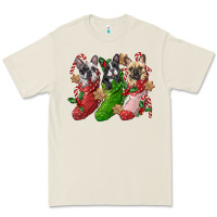 Bone french bulldog with christmas socks Premium Tee - FaDigitalArtStudio