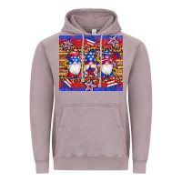 Vintage Zinc american flag gnomes star leopard glitter tumbler Vintage Hoodie - Artiststas
