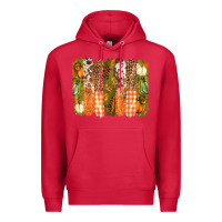 Cardinal fall brushstrokes Premium Hoodie - BarkalooDesign