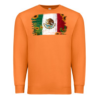 Carrot Mexican Flag Cactus Sunflower Premium Sweatshirt - Jasminsmagicworld