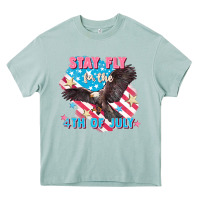 Arona Stay fly for the 4th of July Heavy Core Tee - FaDigitalArtStudio