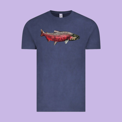 Chinook Salmon Fish Illustrations Vintage Tee Designed By Lillyallendesigns