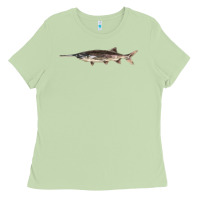 Matcha Paddlefish Illustrations, Ladies Tee - LillyAllenDesigns