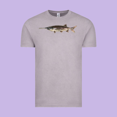 Paddlefish Illustrations, Vintage Tee Designed By Lillyallendesigns