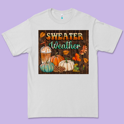 Sweater Weather Tumbler Premium Tee Designed By Bundleandbundleshop