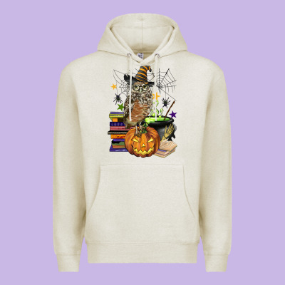 Halloween Owl Premium Hoodie Designed By Barkaloodesign