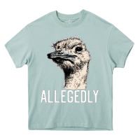 Arona letterkenny allegedly ostrich funny Heavy Core Tee - artisFamous