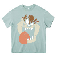 Arona manic taz Heavy Core Tee - artisFamous