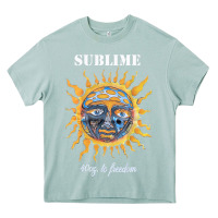 Arona licensed vintage sublime, gift for women men t shirt Heavy Core Tee - artisFamous