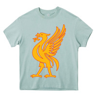 Arona liverpool bird license plate Heavy Core Tee - artisFamous