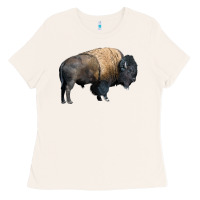 Bone Bison Buffalo Ladies Tee - LillyAllenDesigns