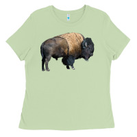 Matcha Bison Buffalo Ladies Tee - LillyAllenDesigns
