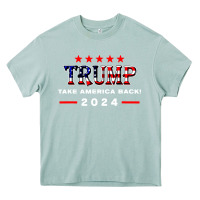 Arona donald trump 2024 take america back election Heavy Core Tee - artisFamous