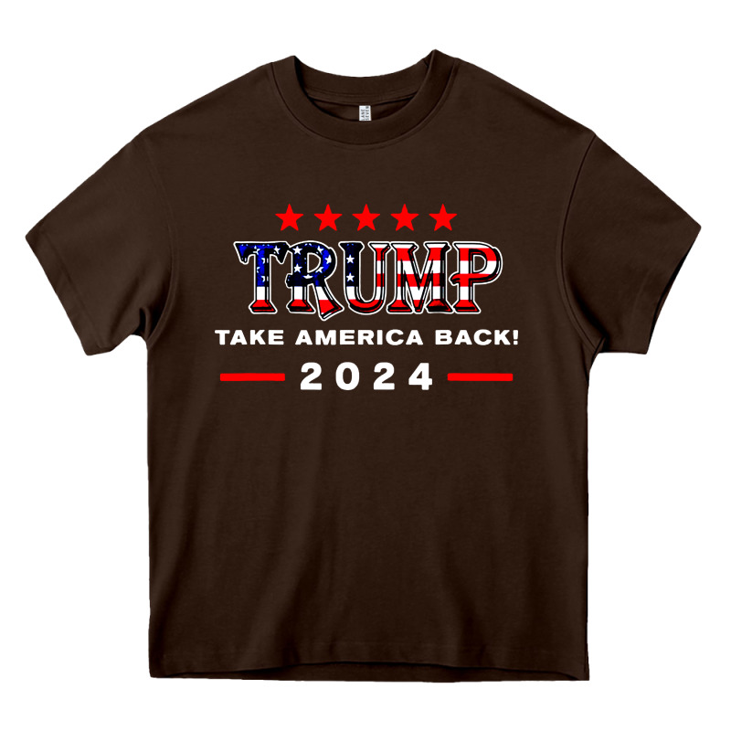 Donald Trump 2024 Take America Back Election Heavy Core Tee by artisFamous | Teevron