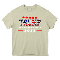Mossy donald trump 2024 take america back election Heavy Core Tee - artisFamous