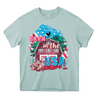 Arona Barn in the USA Heavy Core Tee - FaDigitalArtStudio