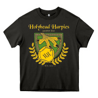 Asphalt holyhead harpies Heavy Core Tee - artisFamous