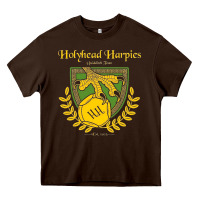 Chocolate Brown holyhead harpies Heavy Core Tee - artisFamous
