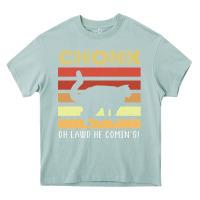 Arona chonk cat funny cat meme cat dad cat mom Heavy Core Tee - artisFamous