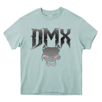 Arona dmx Heavy Core Tee - artisFamous