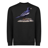 Lark Bunting Colorado State Bird Heavyweight Sweatshirt | Teevron