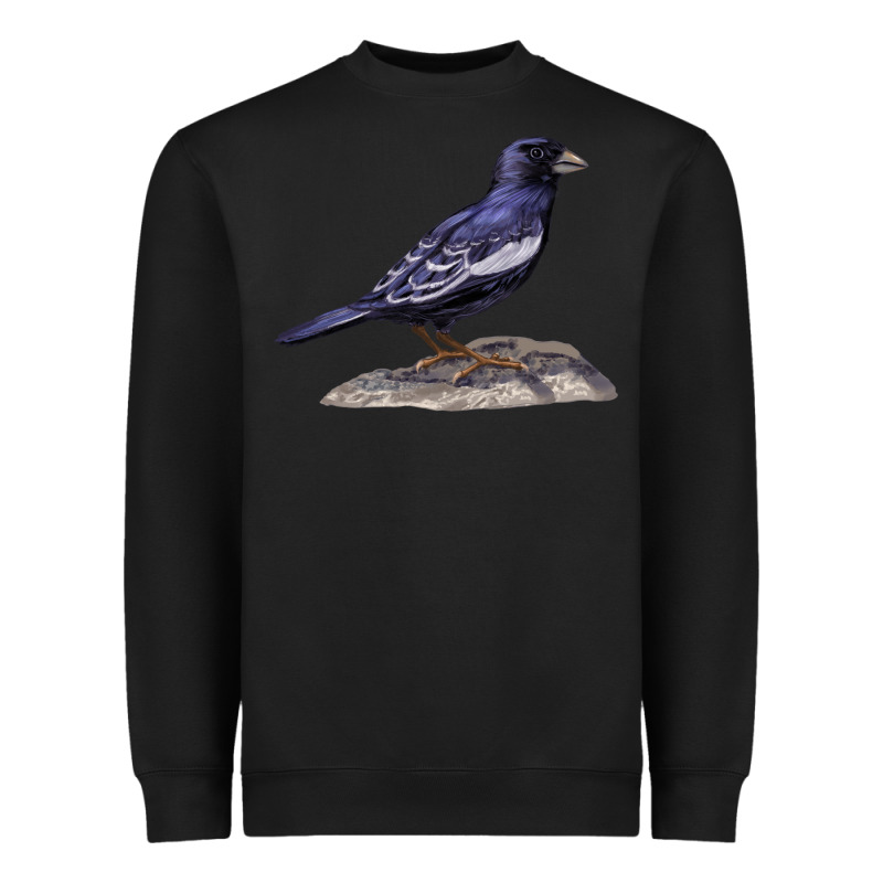 Lark Bunting Colorado State Bird Heavyweight Sweatshirt by RanaPortraitStore | Teevron
