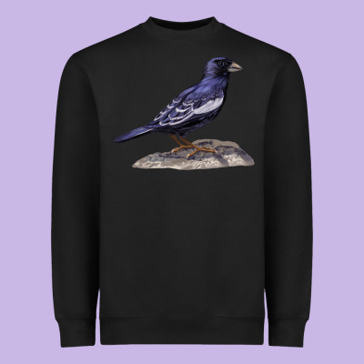 Lark Bunting Colorado State Bird Heavyweight Sweatshirt Designed By Ranaportraitstore