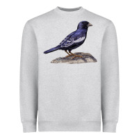 Heather Grey Lark Bunting Colorado State Bird Heavyweight Sweatshirt - RanaPortraitStore