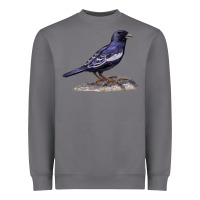 Storm Lark Bunting Colorado State Bird Heavyweight Sweatshirt - RanaPortraitStore