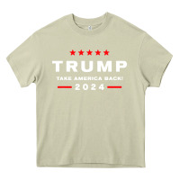 Mossy donald trump 2024 take america Heavy Core Tee - artisFamous