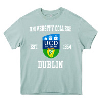 Arona university college dublin Heavy Core Tee - artisFamous