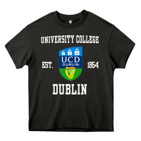 Asphalt university college dublin Heavy Core Tee - artisFamous