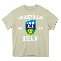 Mossy university college dublin Heavy Core Tee - artisFamous