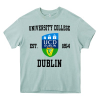 Arona university college dublin Heavy Core Tee - artisFamous
