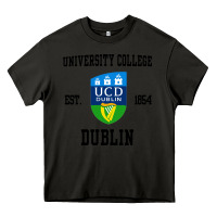 Asphalt university college dublin Heavy Core Tee - artisFamous