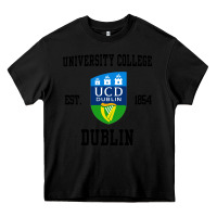 Black university college dublin Heavy Core Tee - artisFamous