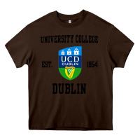 Chocolate Brown university college dublin Heavy Core Tee - artisFamous
