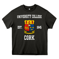 Asphalt university college cork Heavy Core Tee - artisFamous