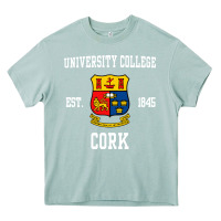 Arona university college cork Heavy Core Tee - artisFamous