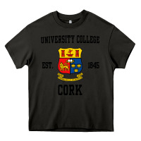 Asphalt university college cork Heavy Core Tee - artisFamous