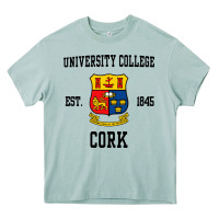 Arona university college cork Heavy Core Tee - artisFamous