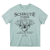 Arona Schrute Farms - The Office Heavy Core Tee - artisFamous